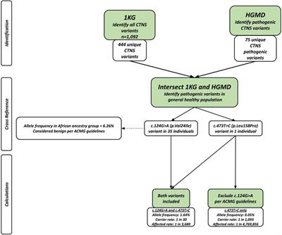 Perspectives from cystinosis: access to healthcare may be a confounding factor for variant classification